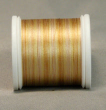 Carica l&#39;immagine nel visualizzatore di Gallery, Yli 100 - FishHawk Variegated Silk Threads
