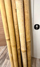 Carica l'immagine nel visualizzatore di Gallery, Culmi Bamboo LO-O
